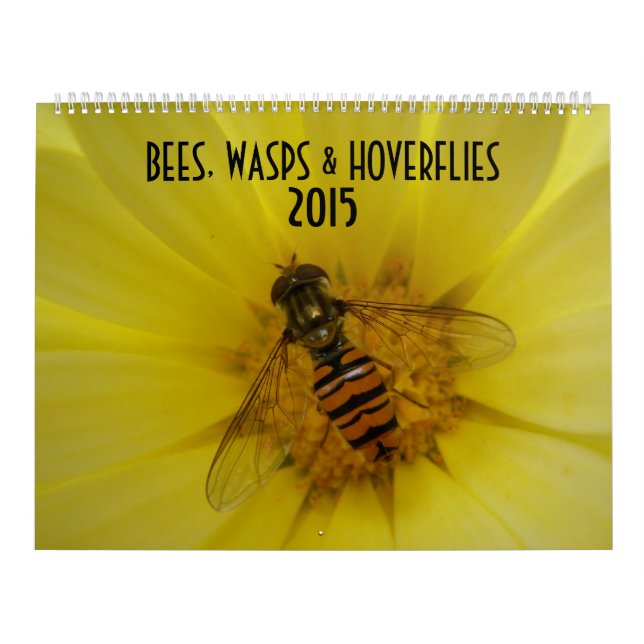Bees Wasps and Hoverflies 2015 Calendar (Cover)