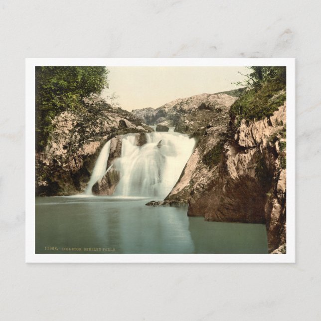 Beesley Falls, Ingleton, Yorkshire, England Postcard (Front)