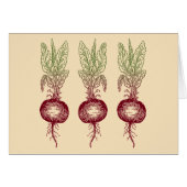 Beet (Front Horizontal)