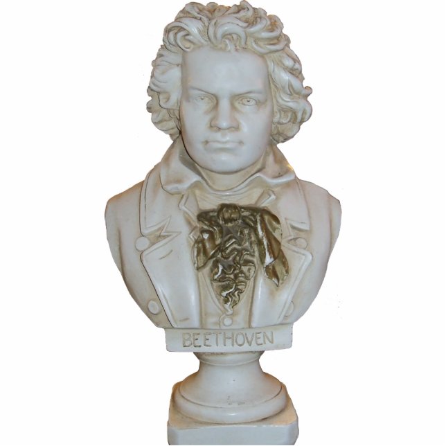 Beethoven Bust Photo Sculpture (Front)