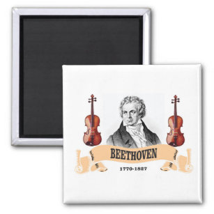 BEETHOVEN IN VIOLINS MAGNET