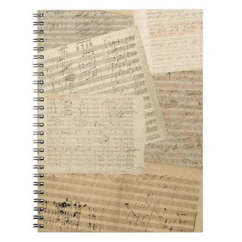 Beethoven Manuscript Medley Spiral Notebook
