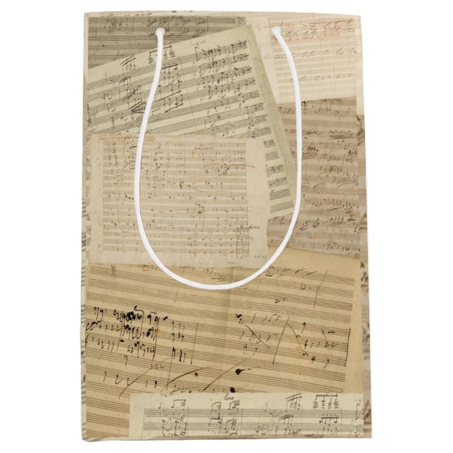 Beethoven Music Manuscript Medley Medium Gift Bag (Front)