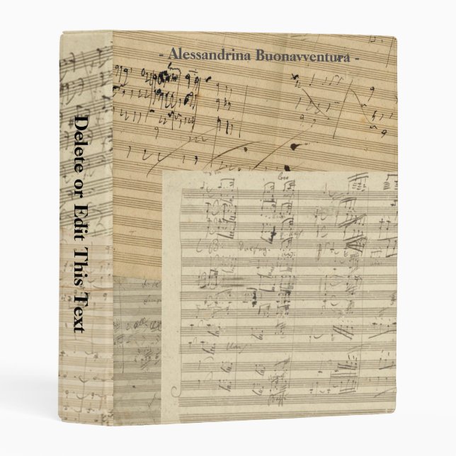 Beethoven Music Manuscripts Custom Text Mini Binder (Front/Spine)