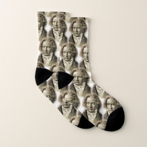 Beethoven Socks by Leslie Harlow