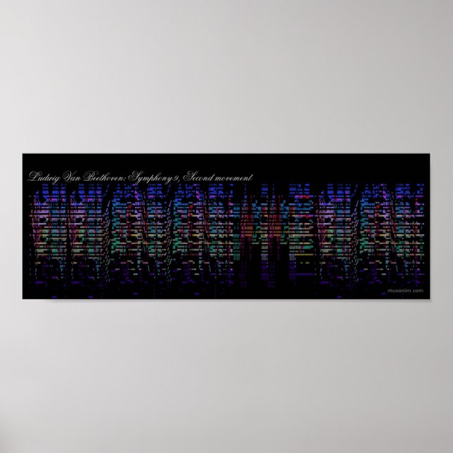 Beethoven's 9th Symphony Visualization Poster (Front)