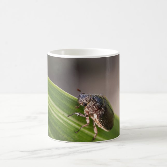 Beetle 01 coffee mug (Center)