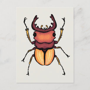 Beetle Art Entomology Insect Postcard