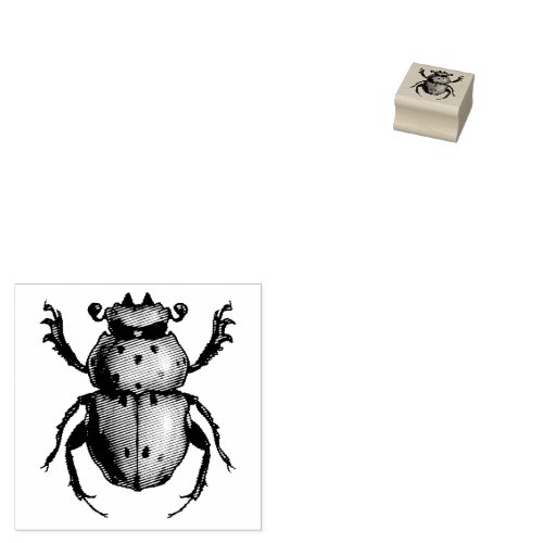 Beetle Art Entomology Insect Rubber Stamp