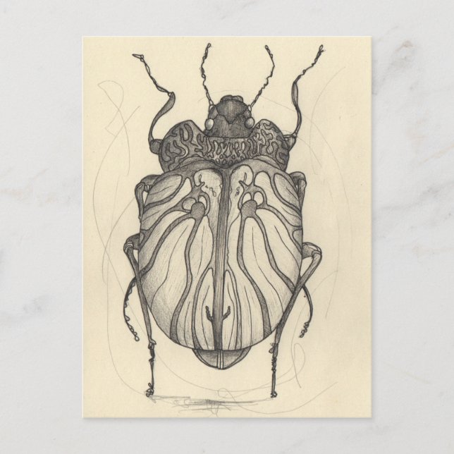 Beetle ballet holiday postcard (Front)