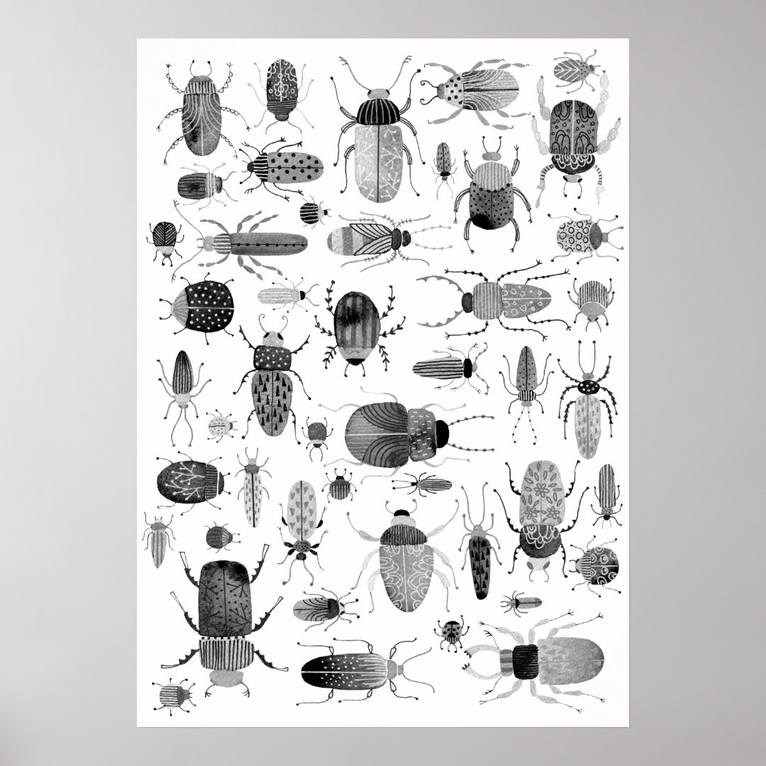 Beetle Black & White Poster | Zazzle