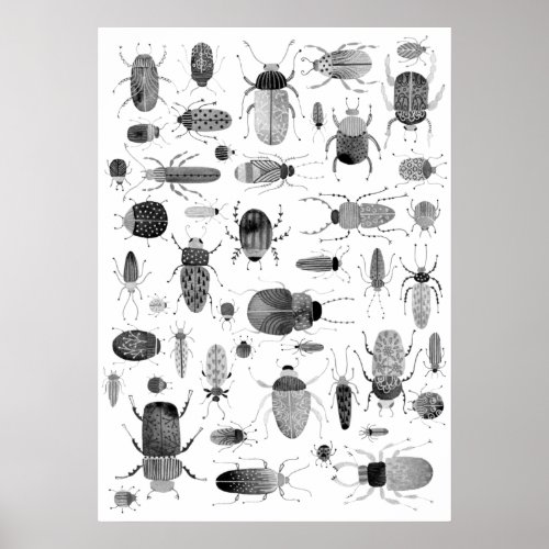 Beetle Black  White Poster