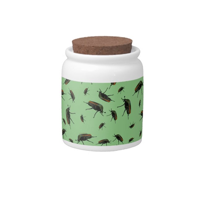 Beetle Bug Candy Jar (Front)