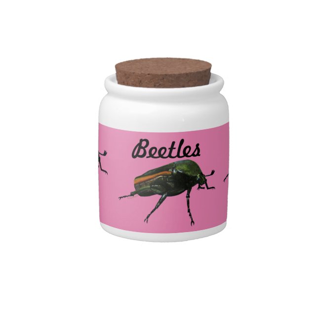 Beetle Bug Candy Jar (Front)