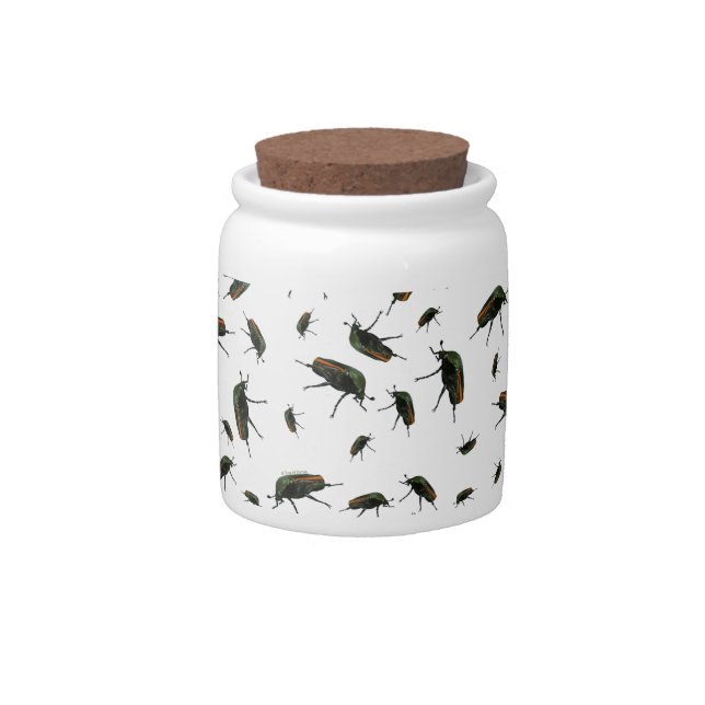 Beetle Bug Candy Jar (Front)