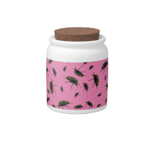 Beetle Bug Candy Jar