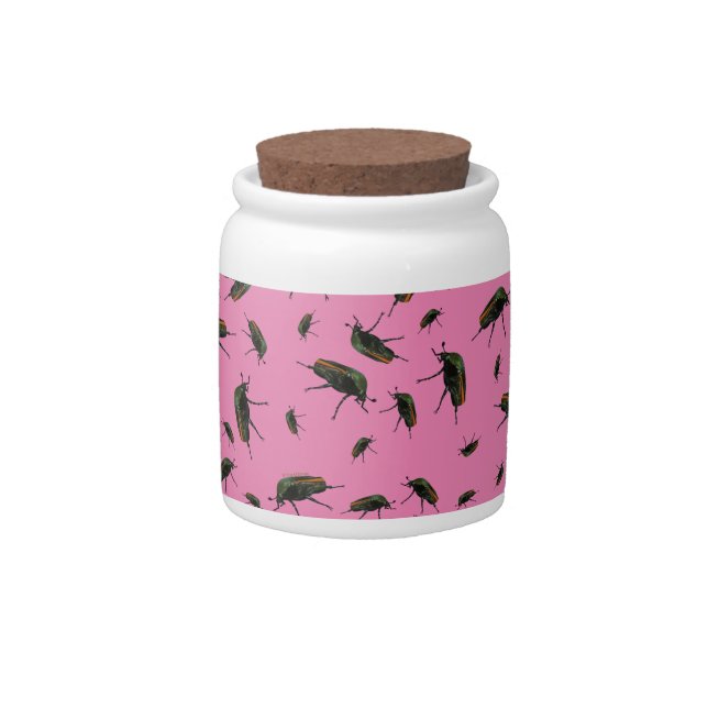 Beetle Bug Candy Jar (Front)