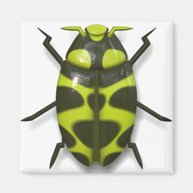 Beetle bug insect cute magnet (Front)