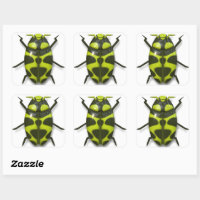 Cute and Happy Bug Stickers, Kawaii Bugs Sticker