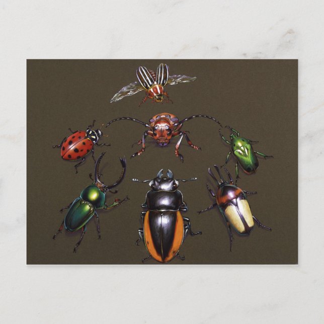 Beetle Circle of Fantasy Postcard (Front)