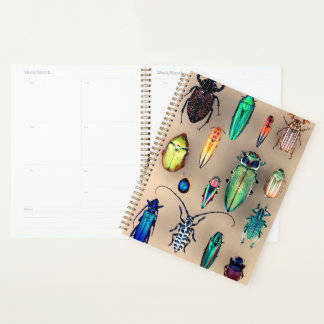 Beetle Collection Planner