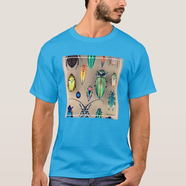 Beetle Collection T-Shirt (Front)