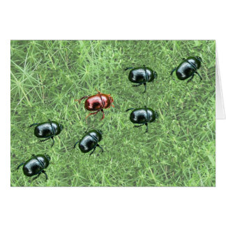 Beetle Design Cards