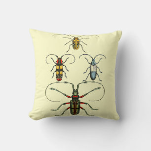 Beetle Display Cushions