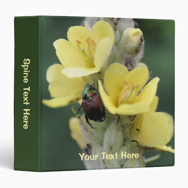 Beetle On Mullein Flower Nature Personalized 3 Ring Binder (Front/Spine)