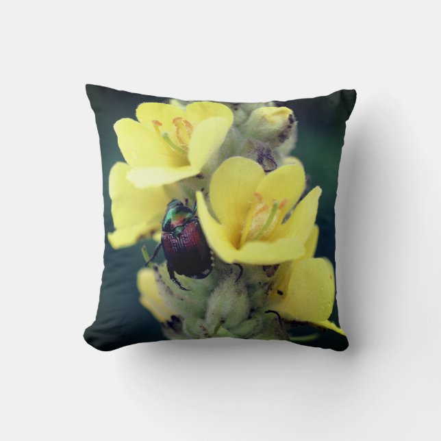Beetle On Wild Mullein Flower Close Up  Throw Pillow (Front)