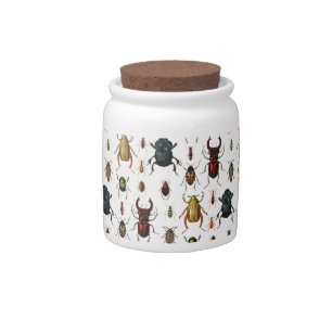 Beetle Varieties Candy Jar