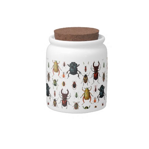 Beetle Varieties Candy Jar