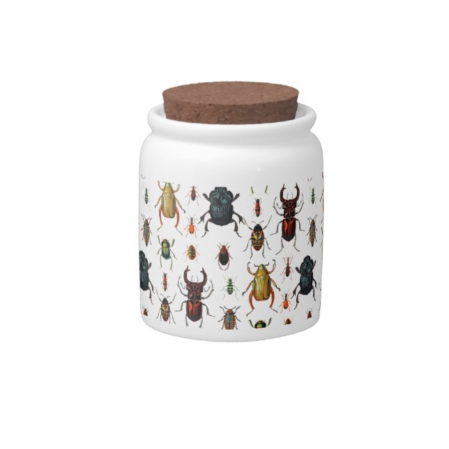 Beetle Varieties Candy Jar (Front)
