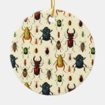 Beetle Varieties Ceramic Ornament at Zazzle