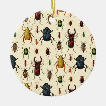 Beetle Varieties Ceramic Ornament by ThinxShop at Zazzle