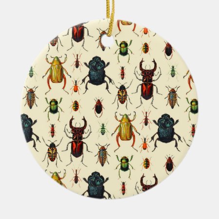 Beetle Varieties Ceramic Ornament