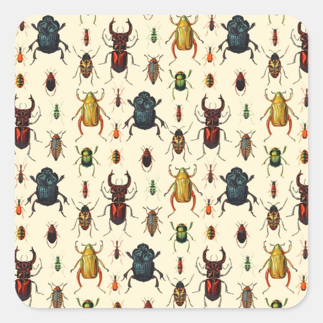 Beetle Varieties Square Sticker (Front)