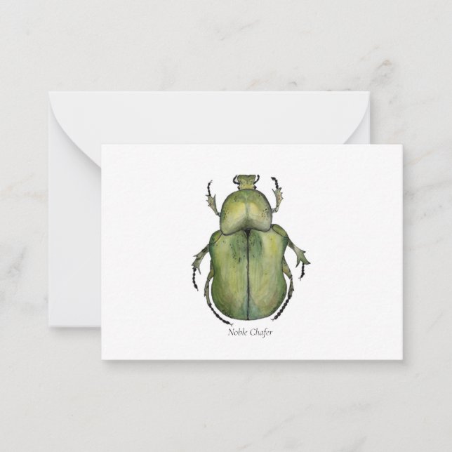 Beetle Watercolor Art Cards (Front)