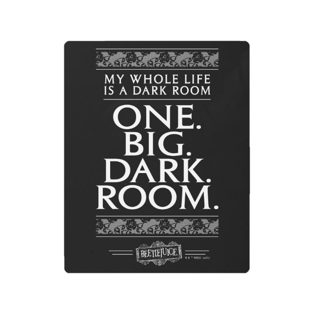 Beetlejuice | My Whole Life Is A Dark Room Metal Print (Front)