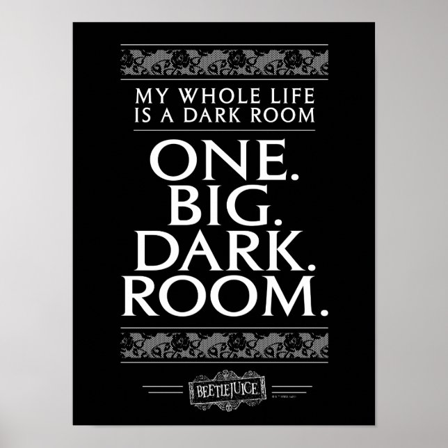 Beetlejuice | My Whole Life Is A Dark Room Poster (Front)