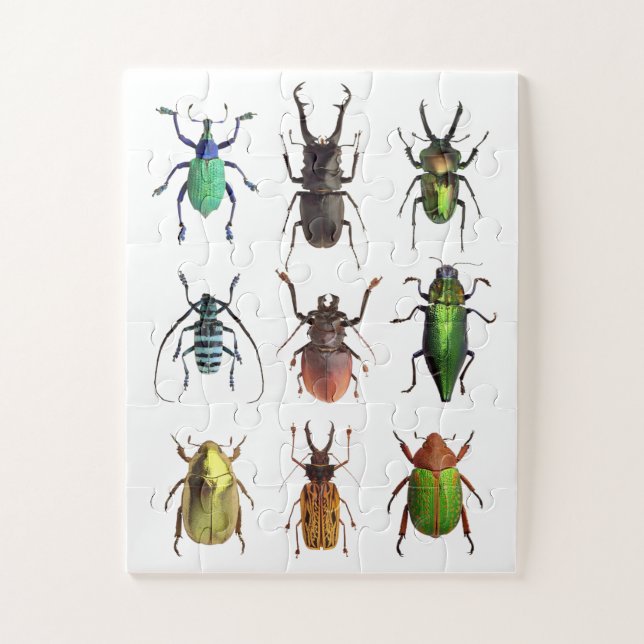 Beetlemania Beautiful Beetle Bugs Jigsaw Puzzle (Vertical)