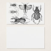 Beetles and Bugs (Front & Back)