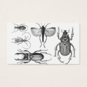 Beetles and Bugs (Front)