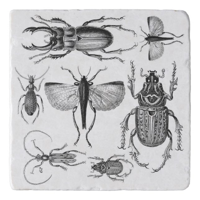 Beetles and Bugs Trivet (Front)