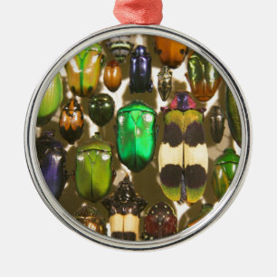 Beetles, Bugs and Insects Metal Ornament