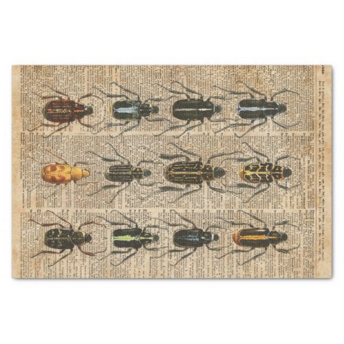 Beetles Bugs Zoology Vintage Illustration Art Tissue Paper