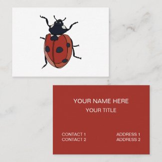 Beetles Insect Ladybug Beetles