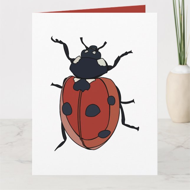 Beetles Insect Ladybug Beetles Card (Front)