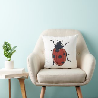 Beetles Insect Ladybug Beetles