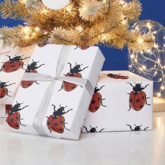 Beetles Insect Ladybug Beetles